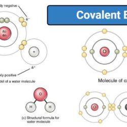 Metals bonding semiconductors immersed atomic valence electron chemwiki libretexts chem1 acad chembond webtext