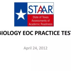 Biology eoc practice test georgia