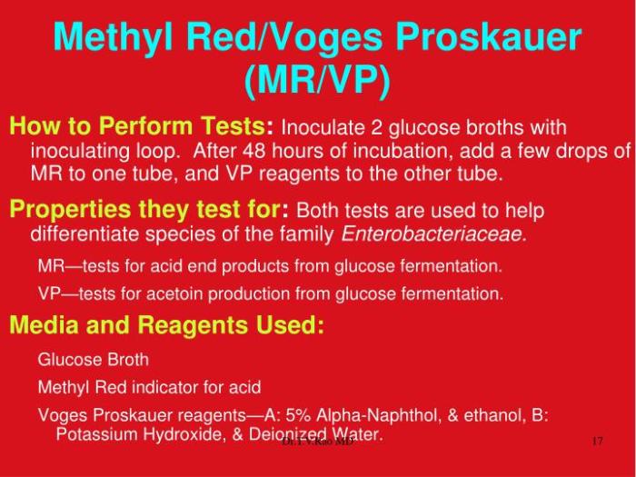 Methyl red and voges-proskauer tests