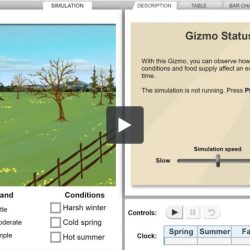 Rabbit population season gizmo answer key