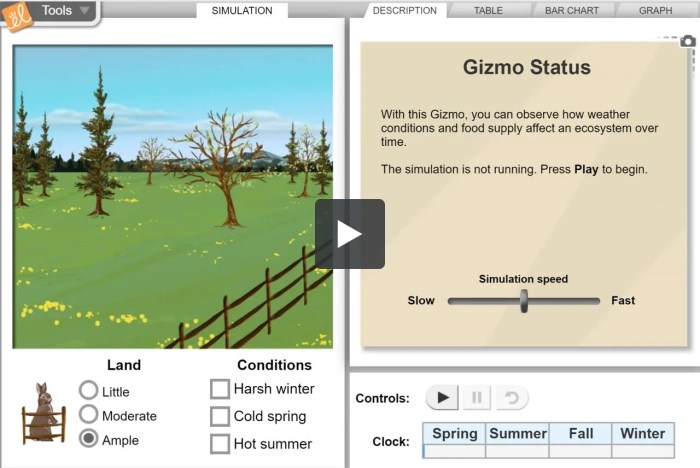 Rabbit population season gizmo answer key