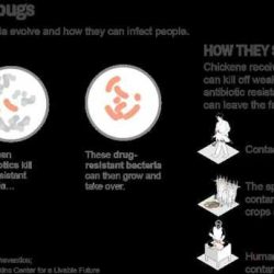 Rise of the superbugs answer key