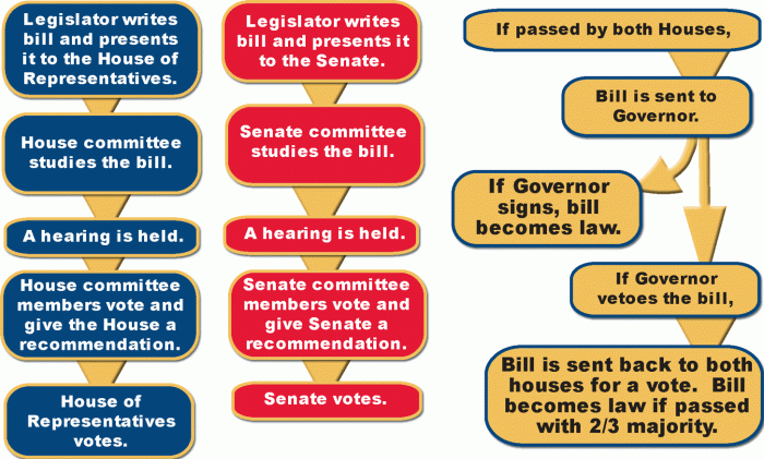 Bill law becomes kids infographic studies process discover diagram social constitution government become chart history teaching infographics kidsdiscover make legislative