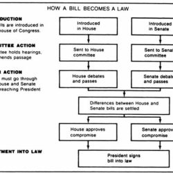 How a bill becomes a law flowchart worksheet