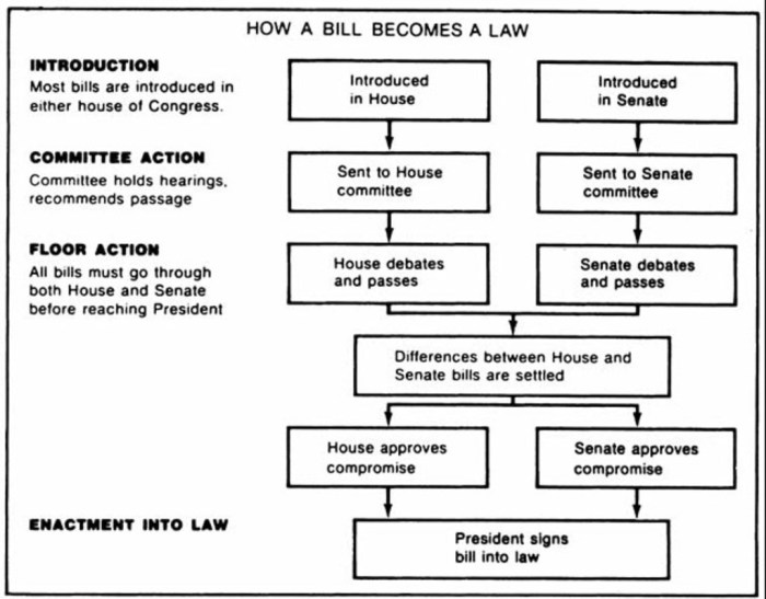 How a bill becomes a law flowchart worksheet