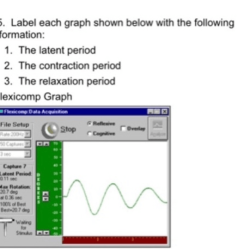 Muscle contraction nervous system tension control anatomy isometric load contractions